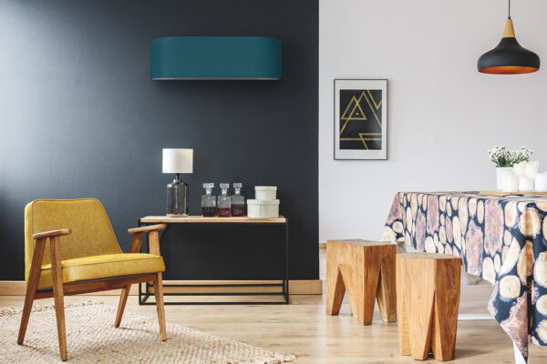 Rustic black and white home